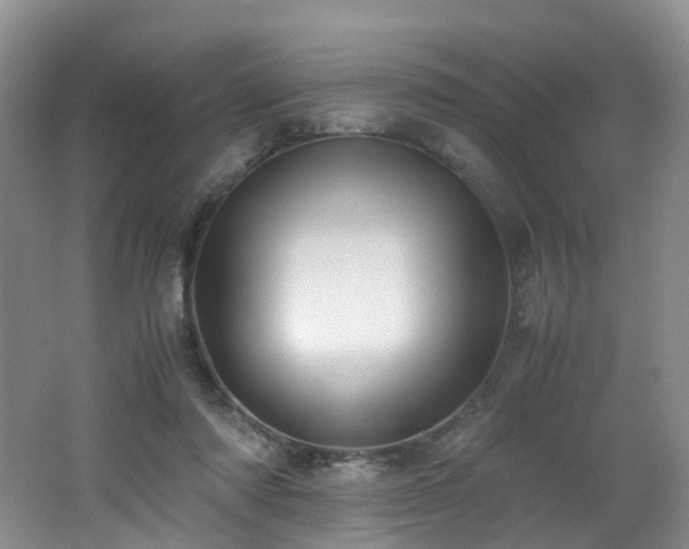 X0000062800310200512221411