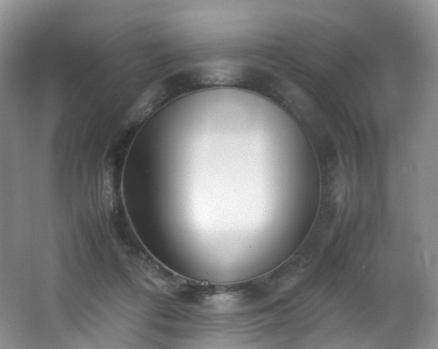 X0000062800312200512221411