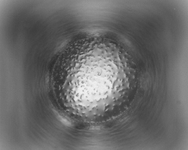 X0000062800314200512221411