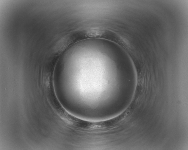 X0000062800315200512221411