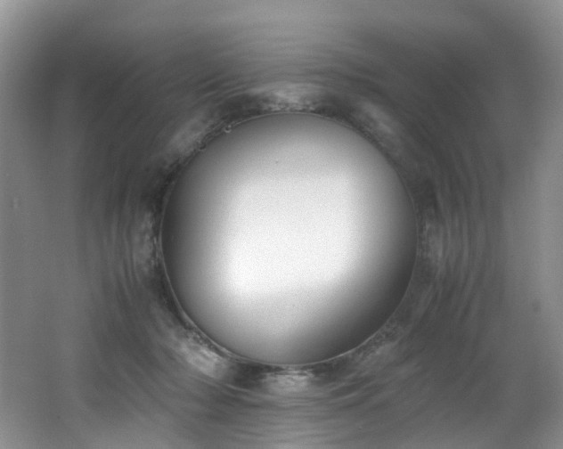 X0000062800318200512221411
