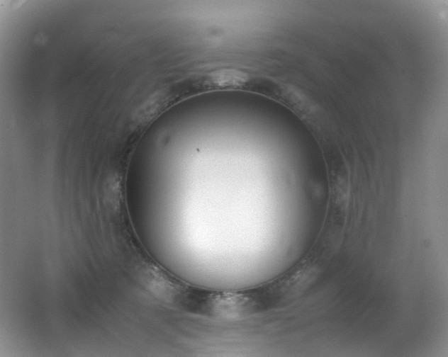X0000062800321200512221411