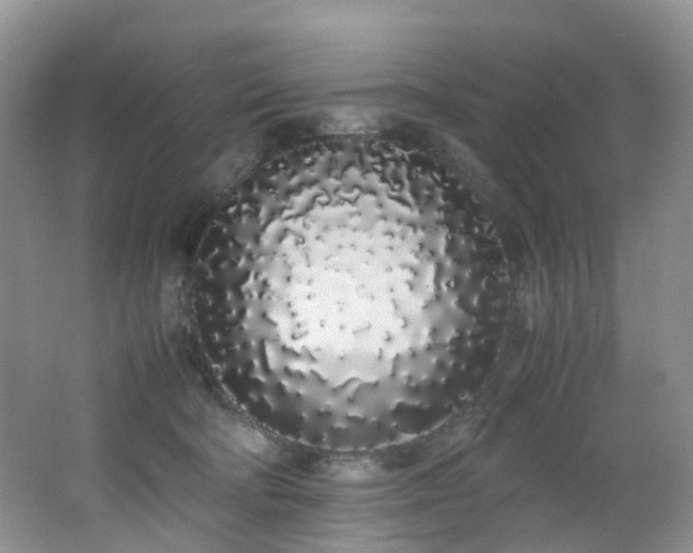X0000062800322200512221411