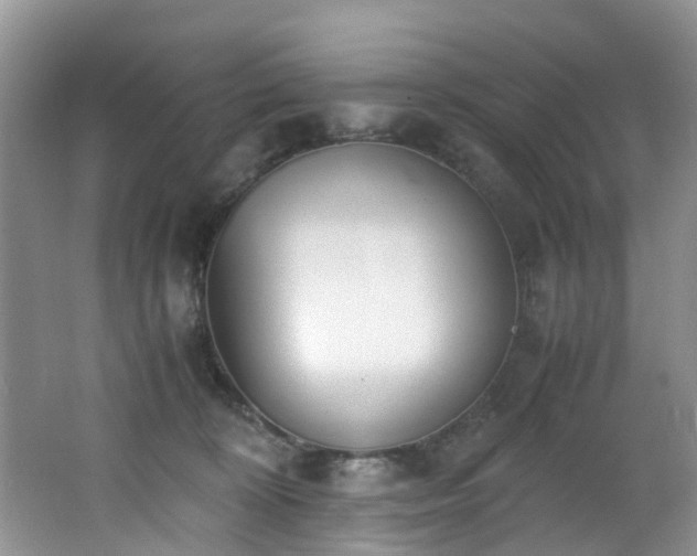 X0000062800324200512221411