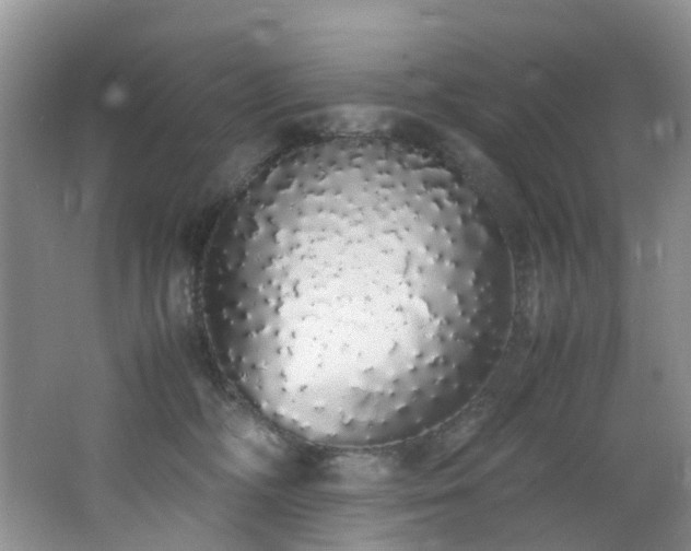 X0000062800326200512221411