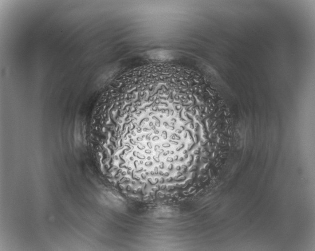 X0000062800330200512221411