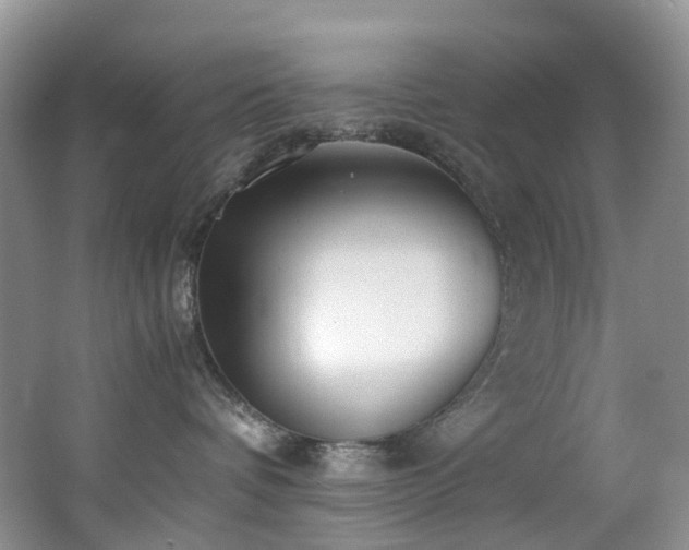 X0000062800336200512221411