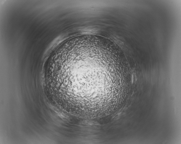 X0000062800339200512221410