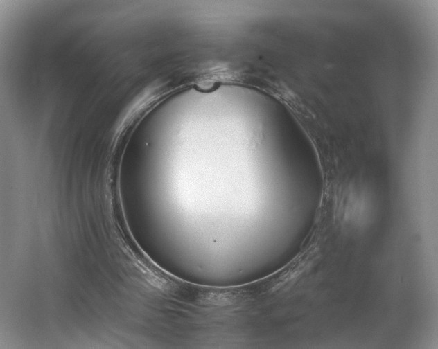 X0000062800341200512221410
