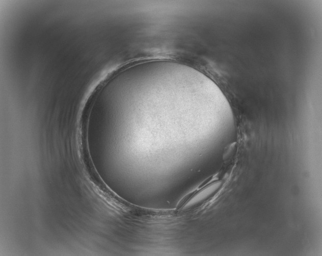 X0000062800342200512221410