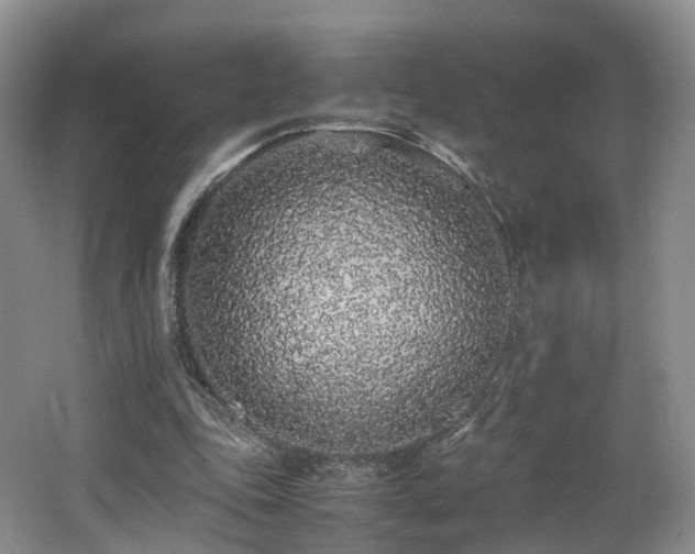 X0000062800343200512221410