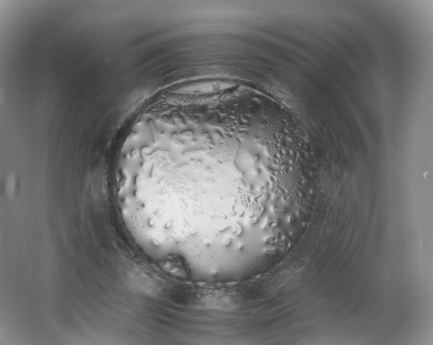 X0000062800347200512221410