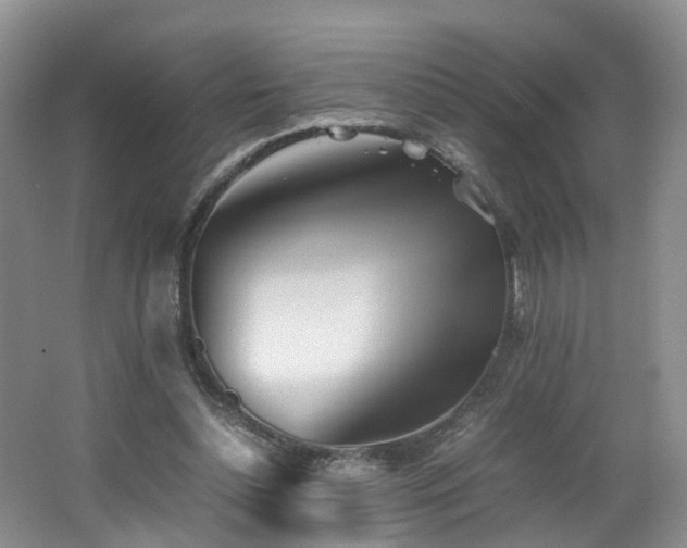 X0000062800348200512221410