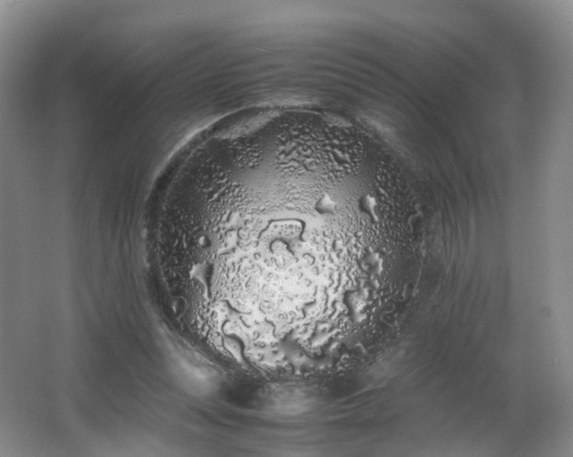 X0000062800351200512221410