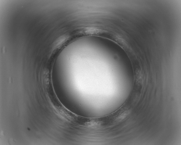 X0000062800356200512221410