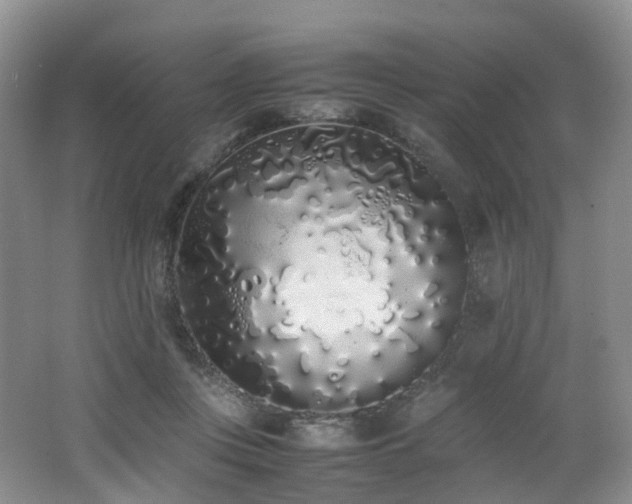 X0000062800359200512221410