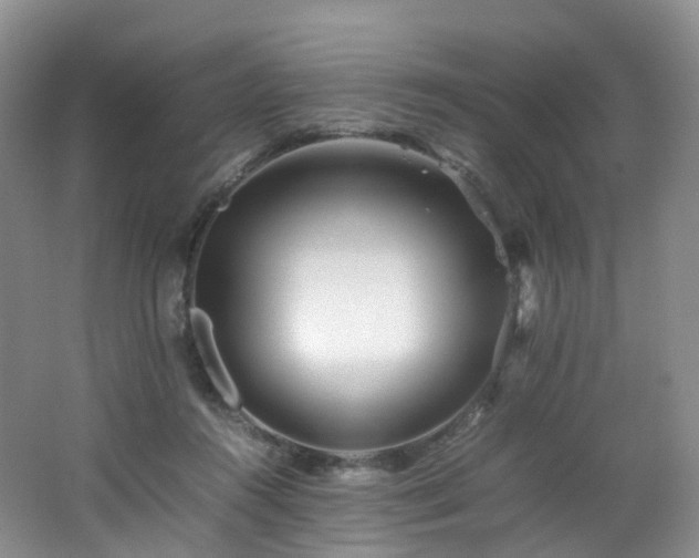 X0000062800360200512221411