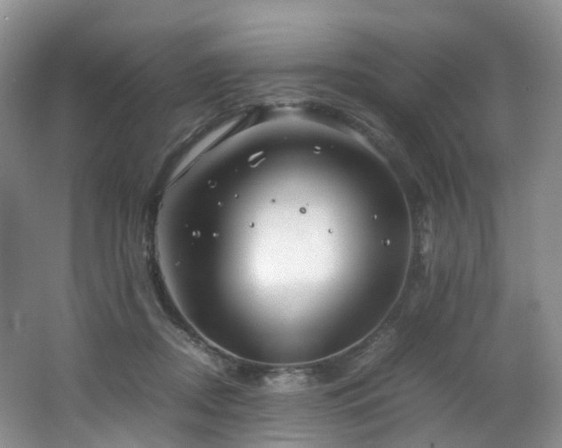 X0000062800362200512221411