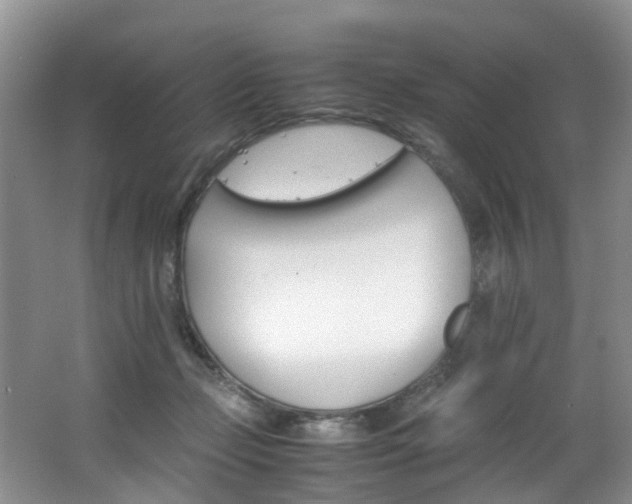 X0000062800365200512221411