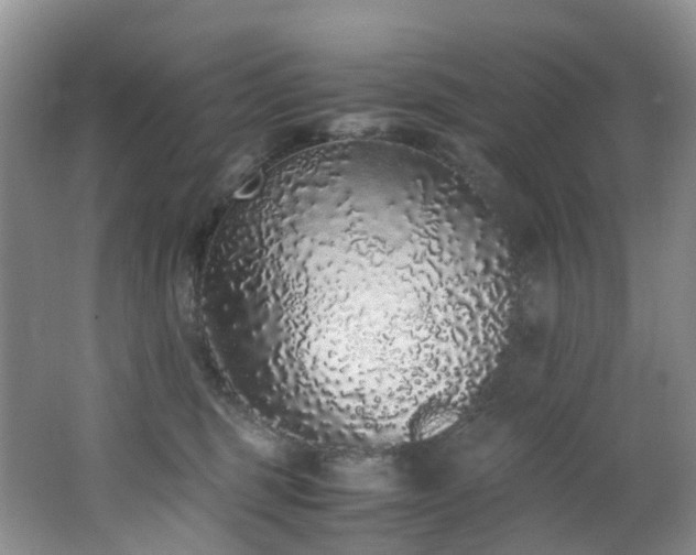 X0000062800375200512221411