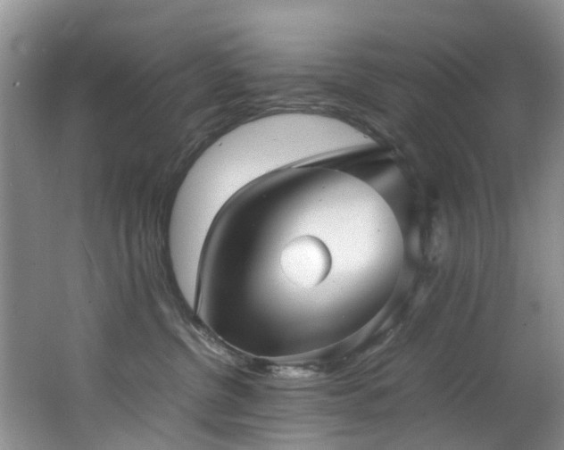 X0000062800380200512221411