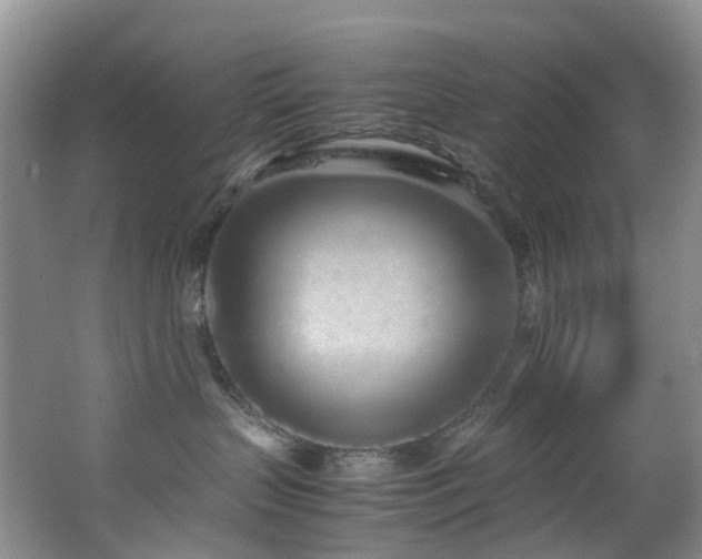 X0000062800383200512221411