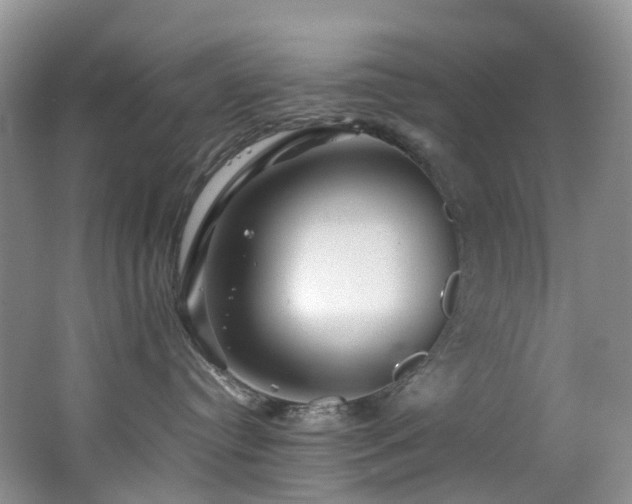 X0000062800384200512221411