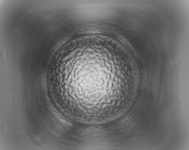 X0000062800386200512221410