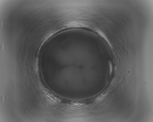 X0000062800387200512221410