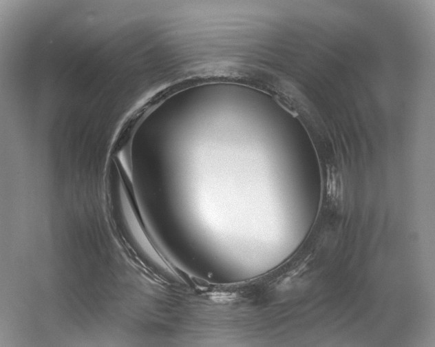X0000062800388200512221410