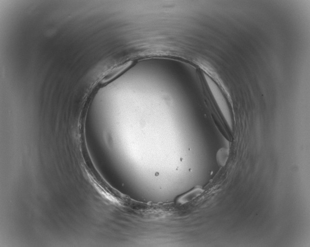 X0000062800389200512221410