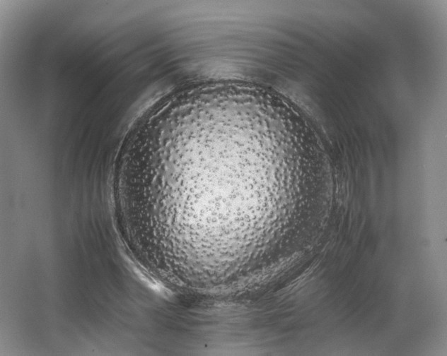 X0000062800390200512221410