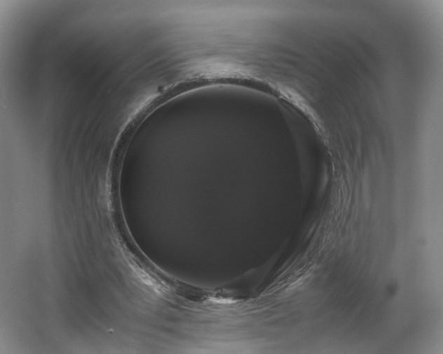 X0000062800391200512221410