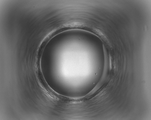 X0000062800392200512221410