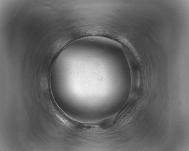 X0000062800393200512221410