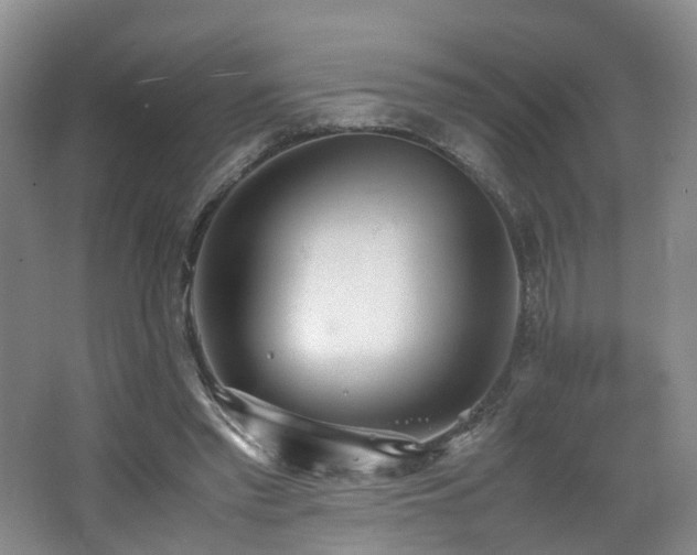 X0000062800397200512221410