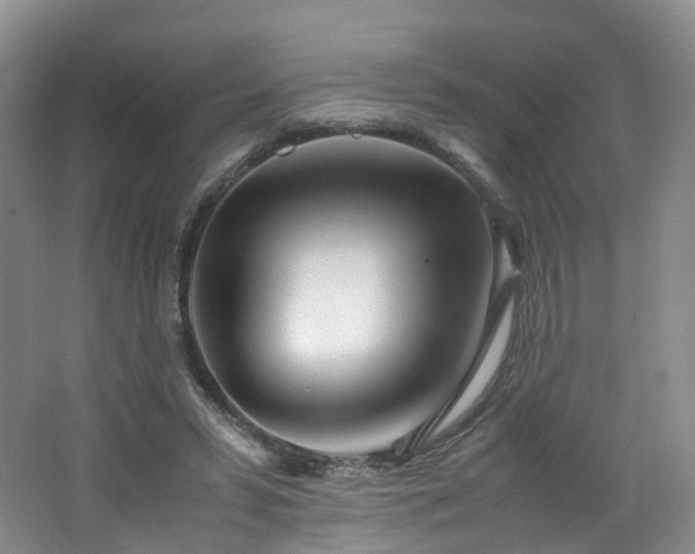 X0000062800399200512221410