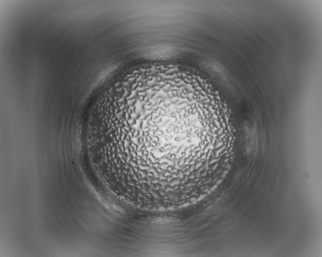 X0000062800400200512221410