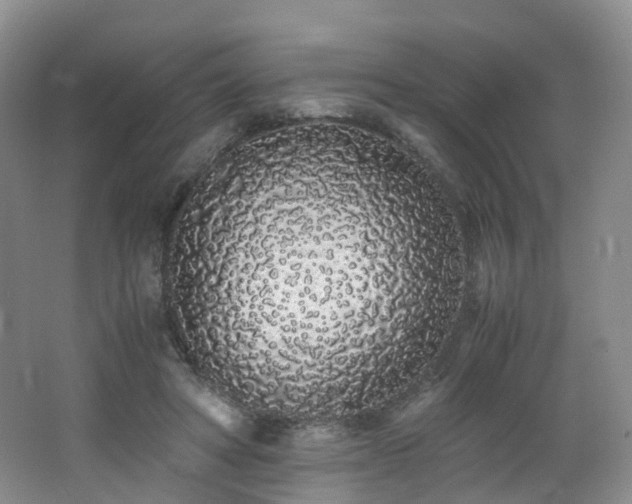 X0000062800402200512221410