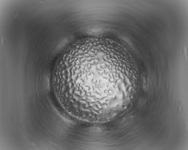 X0000062800404200512221410