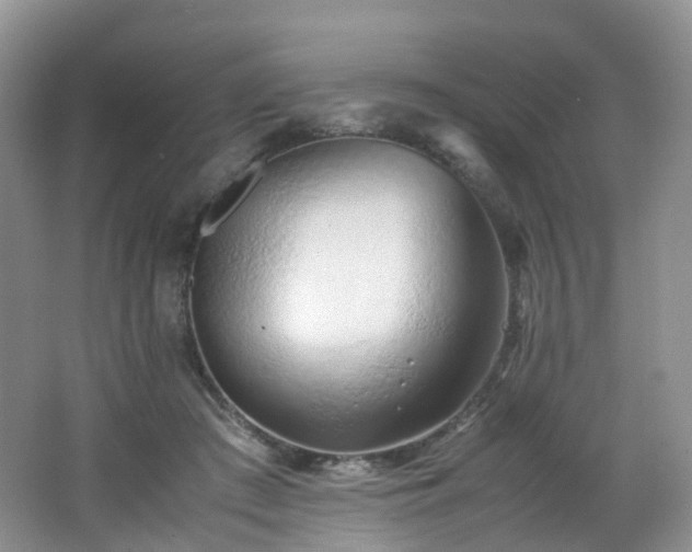 X0000062800409200512221410