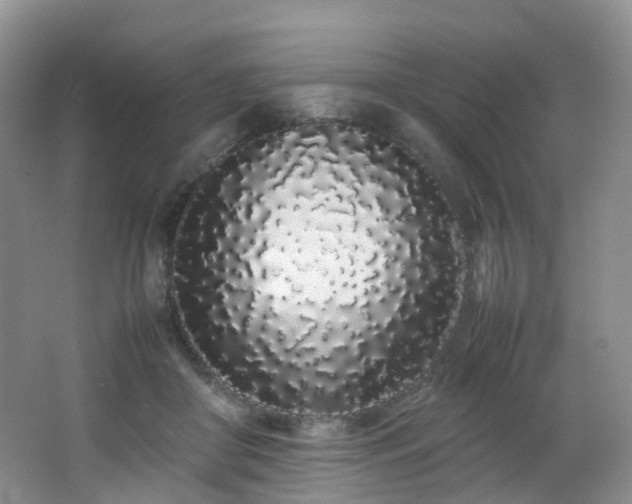 X0000062800410200512221410