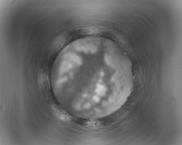 X0000062800415200512221410