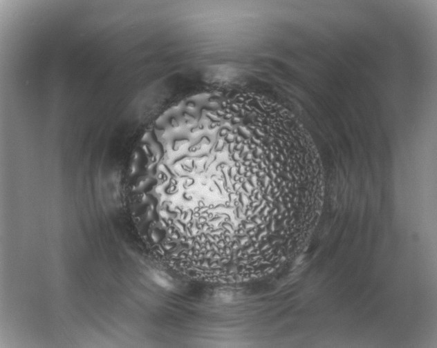 X0000062800420200512221409