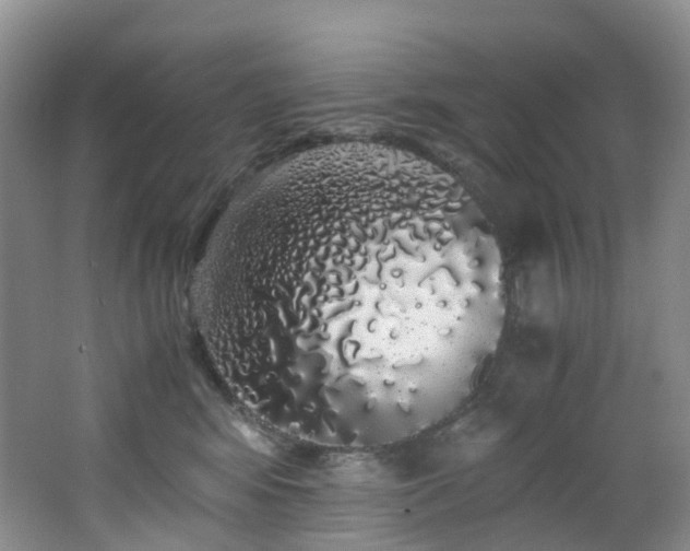 X0000062800424200512221409