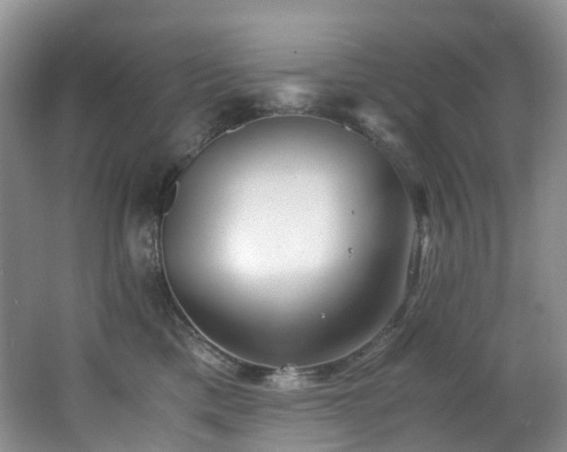 X0000062800425200512221409