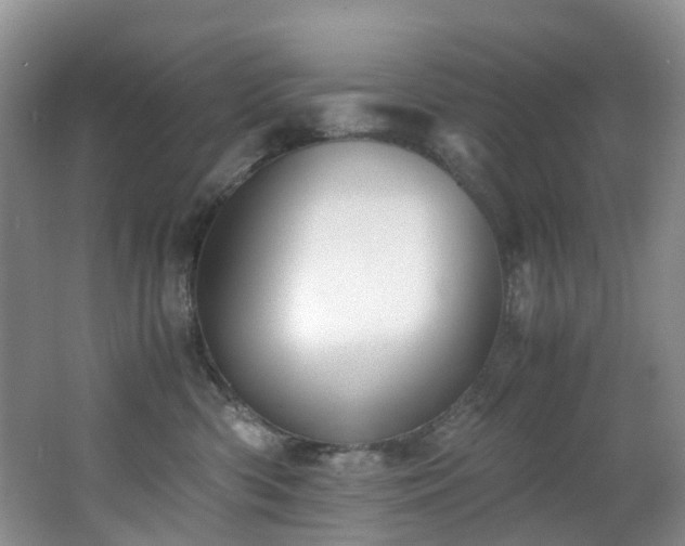 X0000062800426200512221409