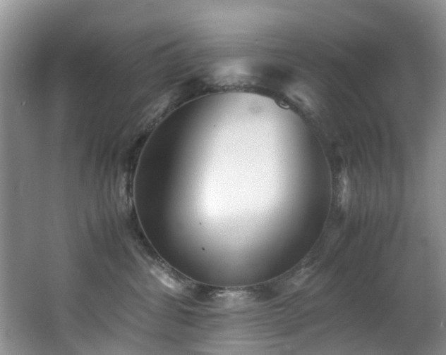 X0000062800428200512221409