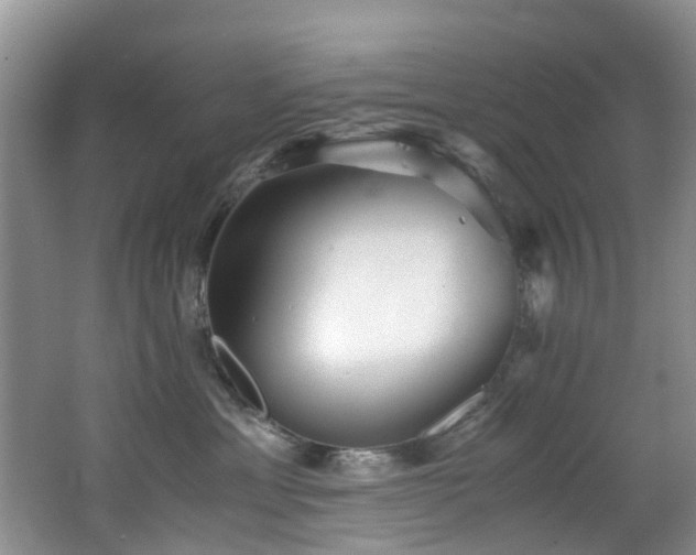 X0000062800429200512221409