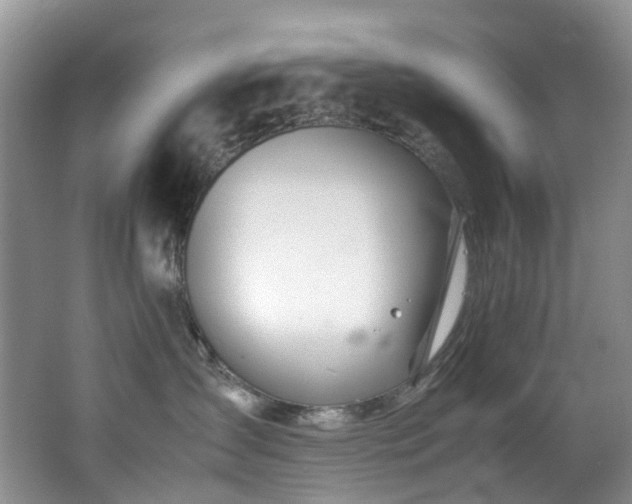 X0000062800431200512221409